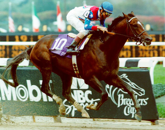 breeder's cup