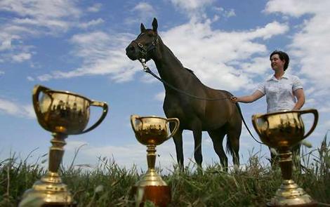 champion racehorse