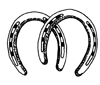 horseshoes icon