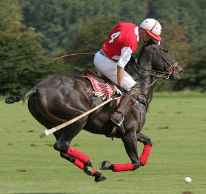 polo